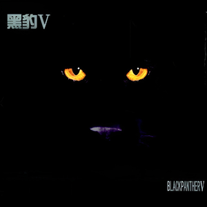 天天射综合网站
